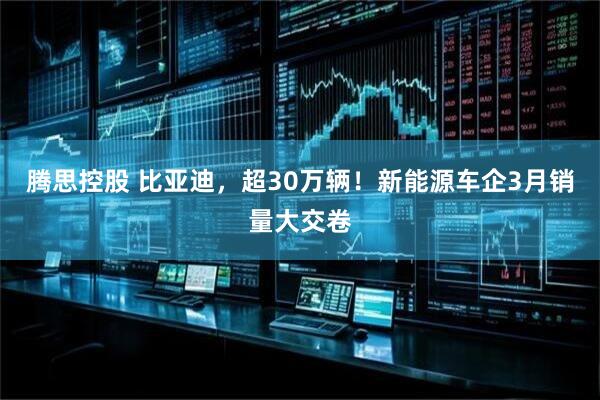 腾思控股 比亚迪,超30万辆!新能源车企3月销量大交卷