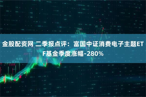 金股配资网 二季报点评：富国中证消费电子主题ETF基金季度涨幅-280%